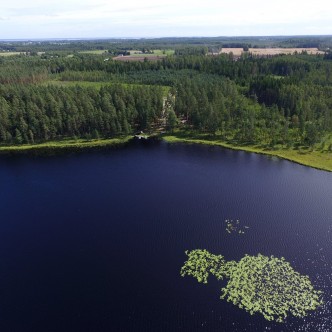 Allikas: Haudamäe Puhkemaja