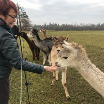 Wile Alpaca Farm, kus oma talu tegemisi tutvustas Lõuna-Järvamaa Koostöökogu juhatuse liige Imre Heinsaar